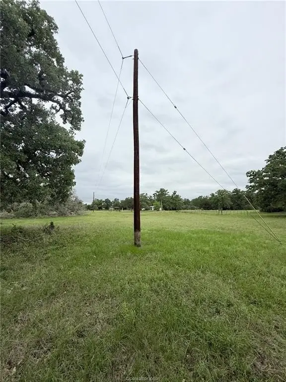 Picture 23