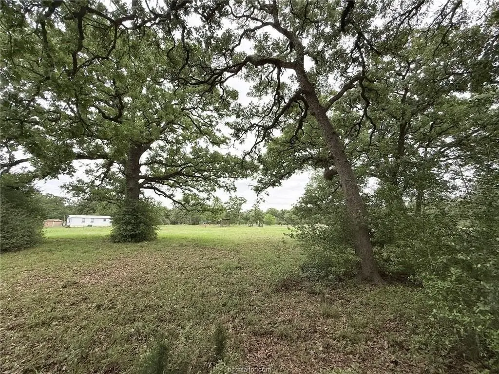 Picture 19