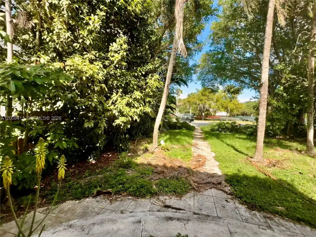 Picture 5