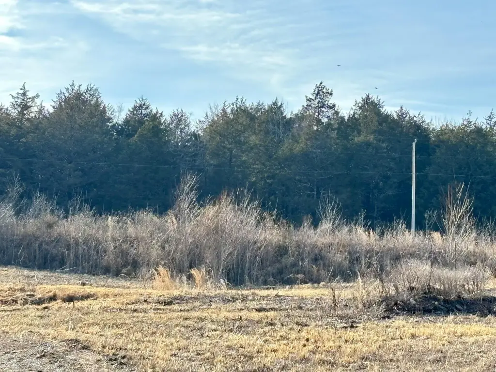 Picture 19
