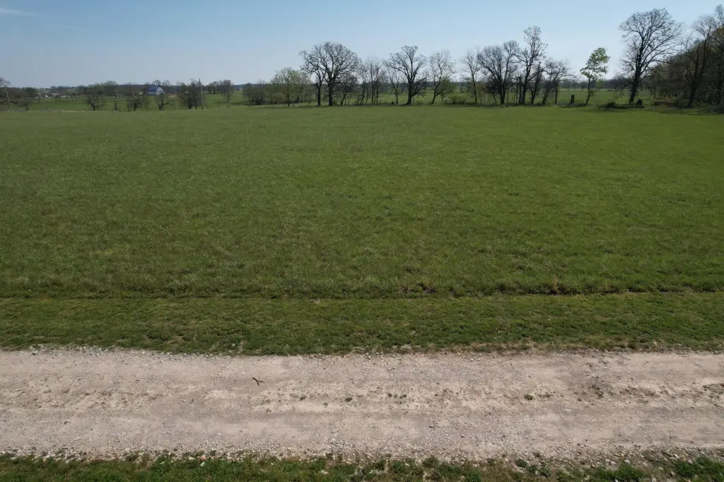 Picture 15