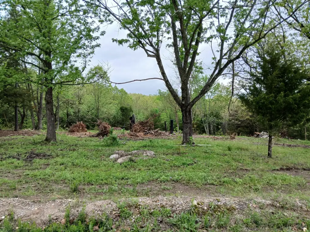 Picture 6