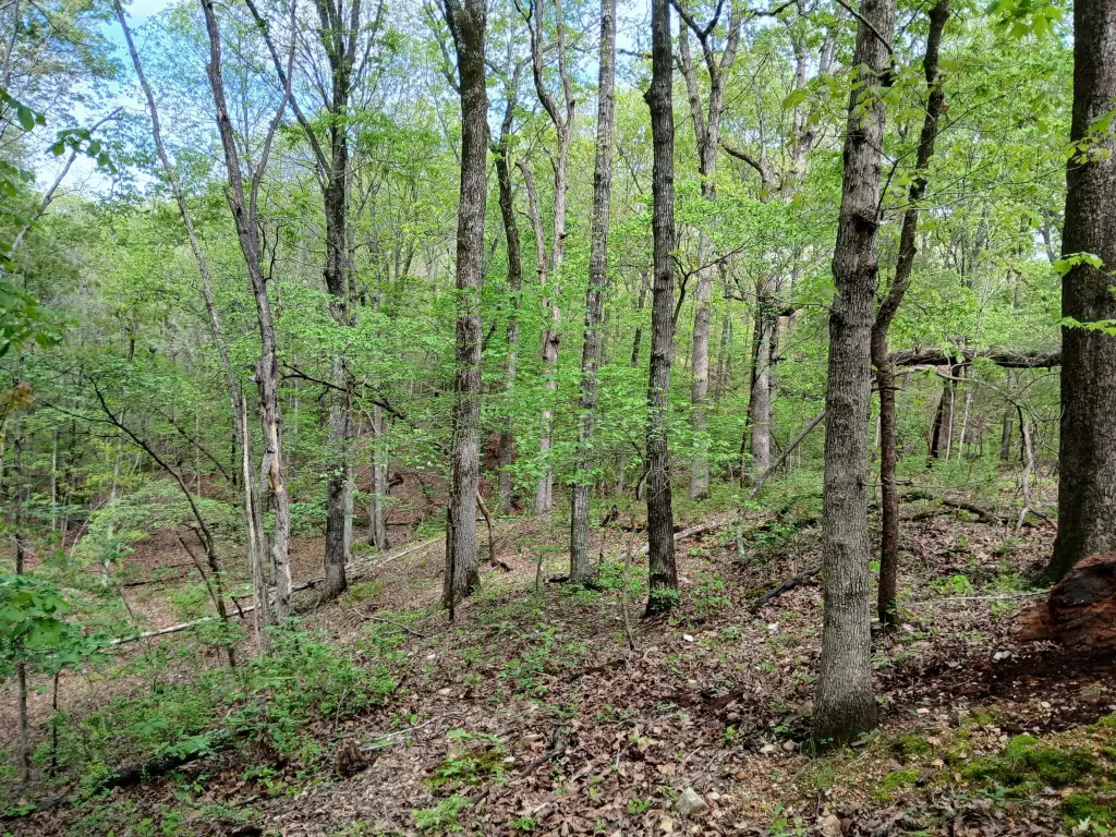 Picture 9