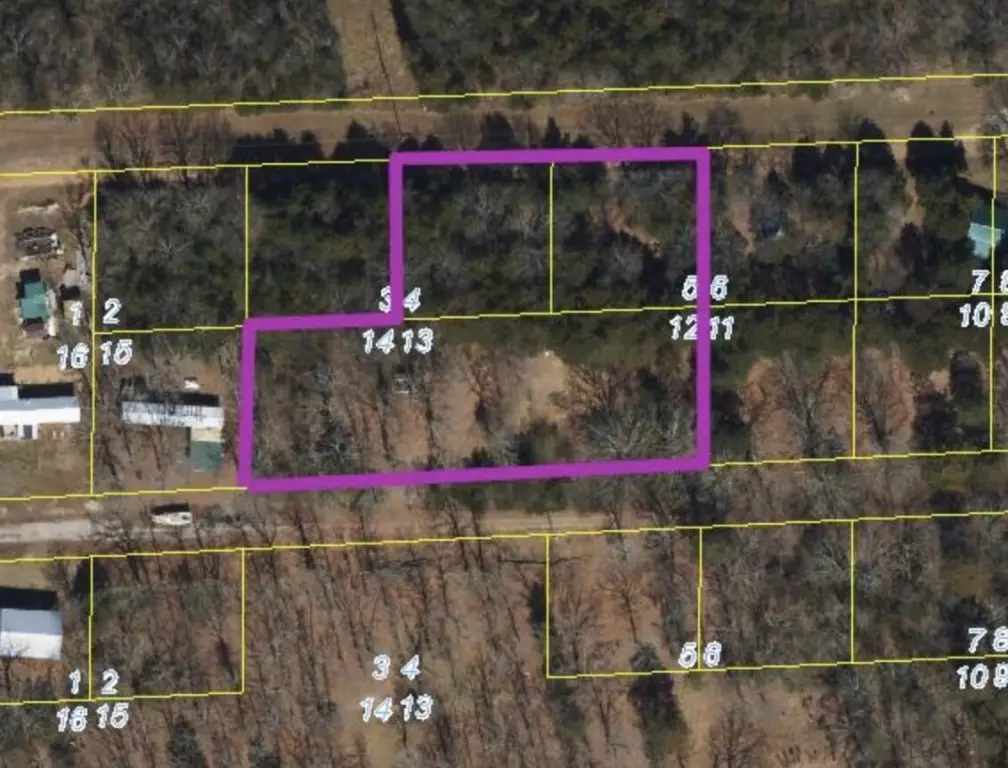 Picture 11
