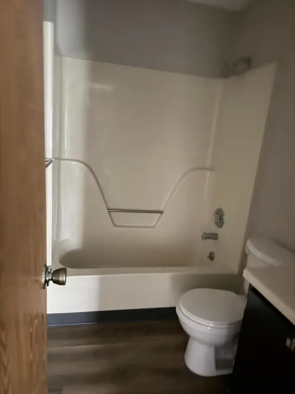 Picture 5