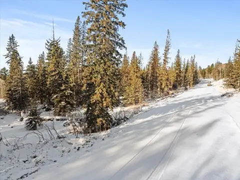 Residential Land Near Terry Peak