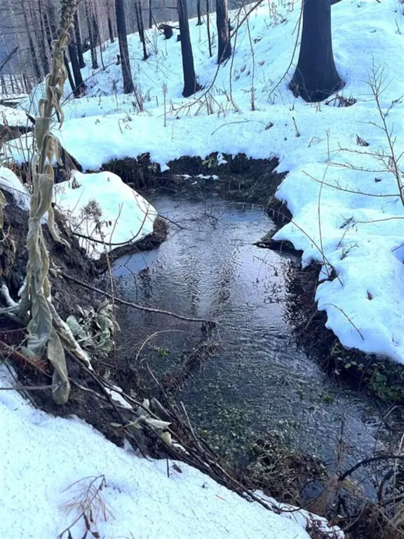 Picture 9