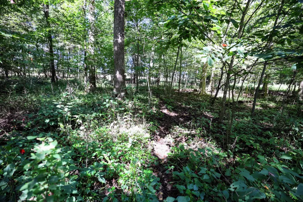 Picture 25