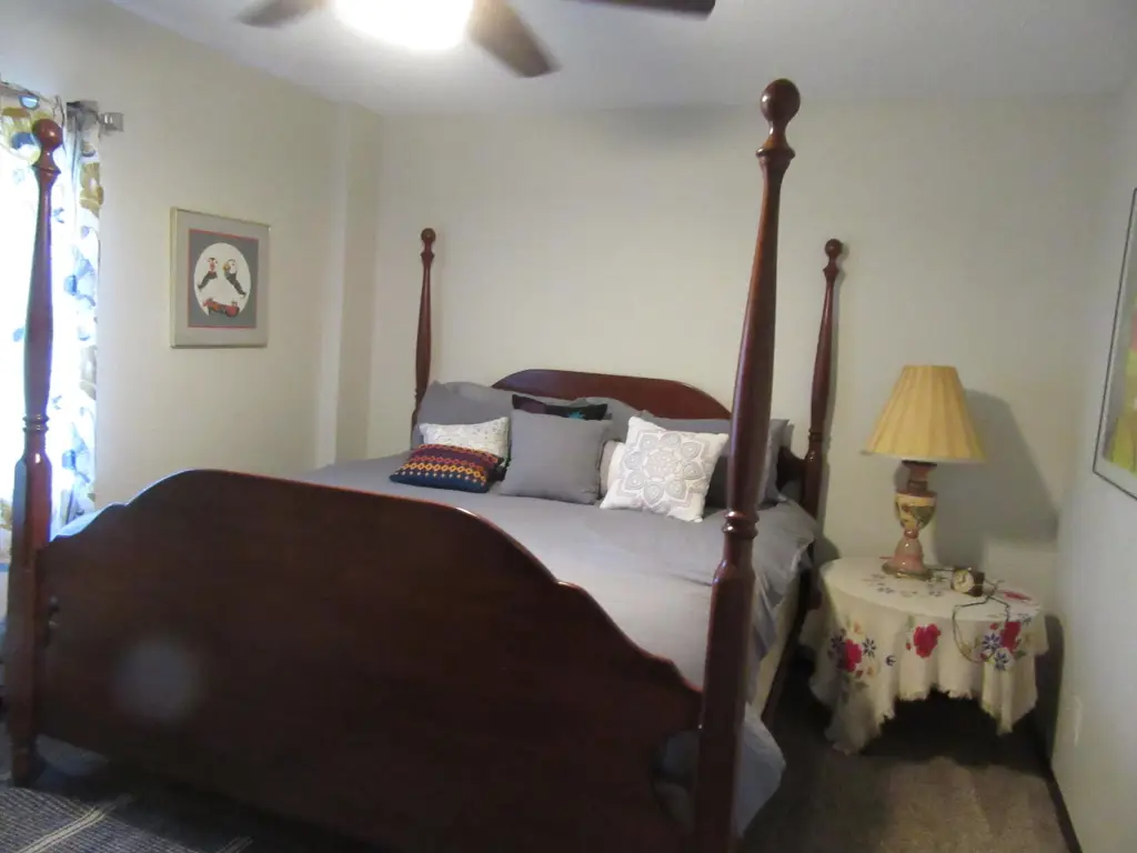 Picture 15