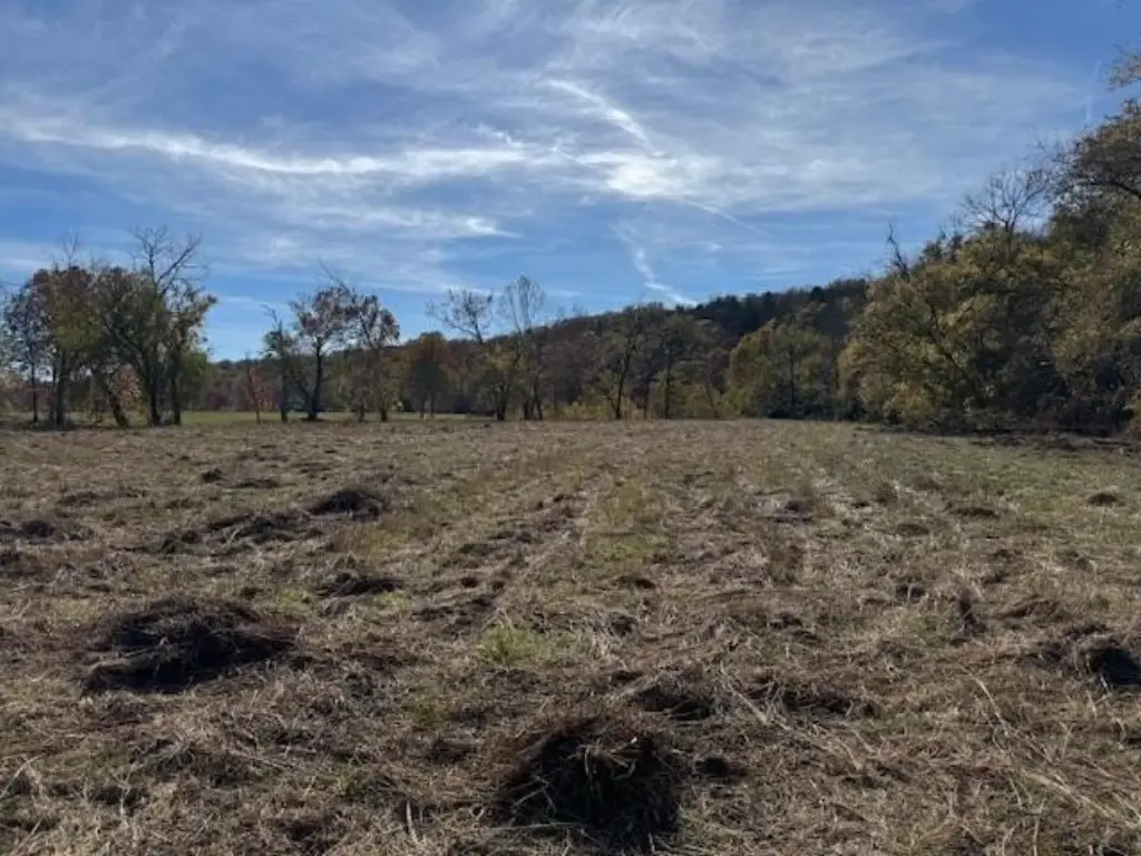 Picture 4