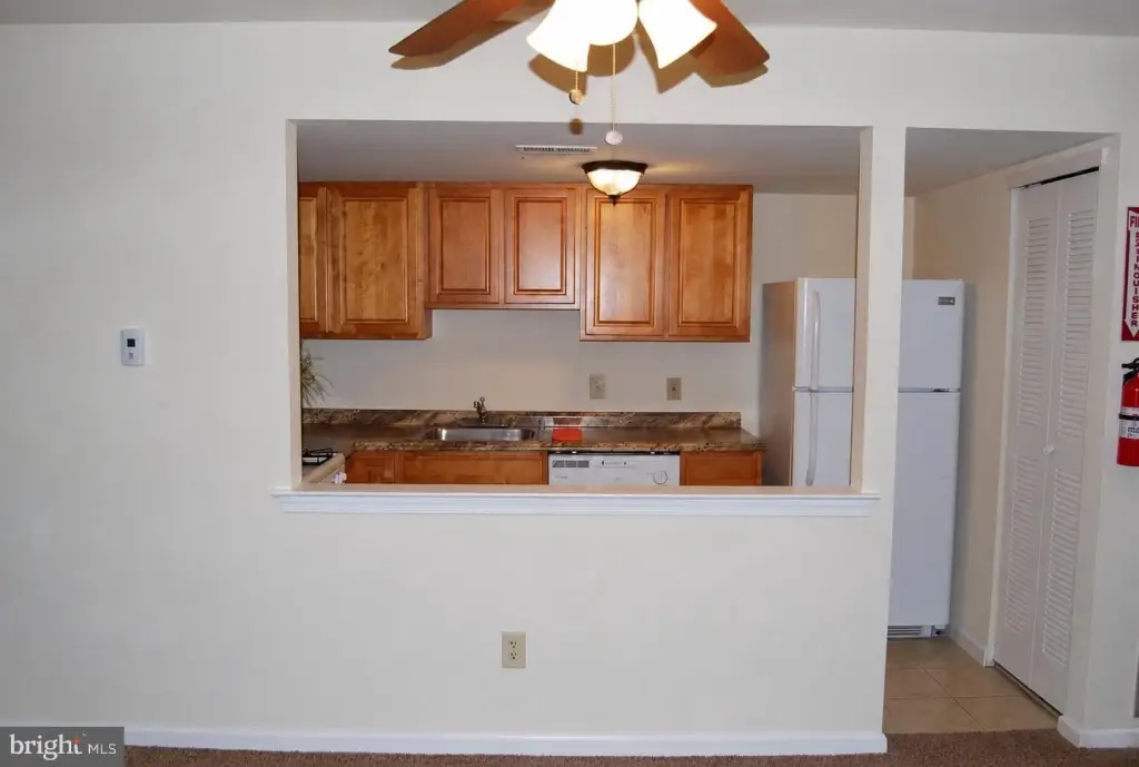 Picture 24