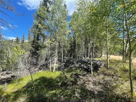 Treed Lot with Mountain Views
