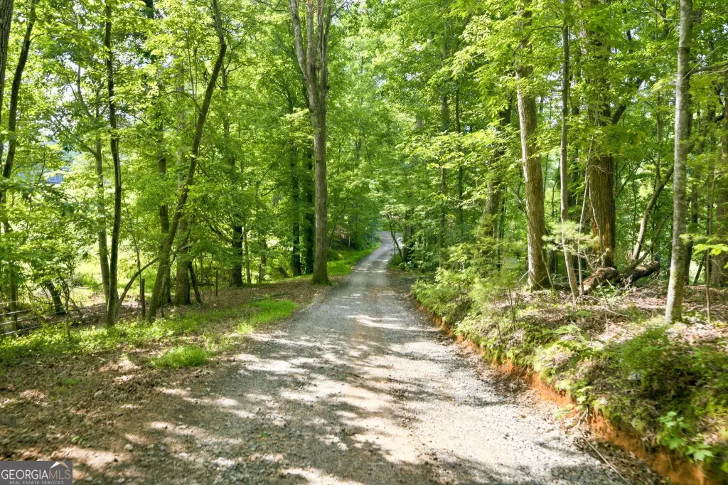 Picture 36