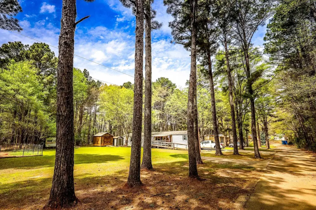Picture 9