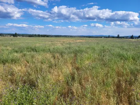 Land with Pastoral and Mountain Views