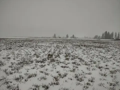 Spacious Land Parcel in Deer Park