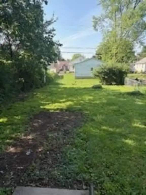 Picture 12