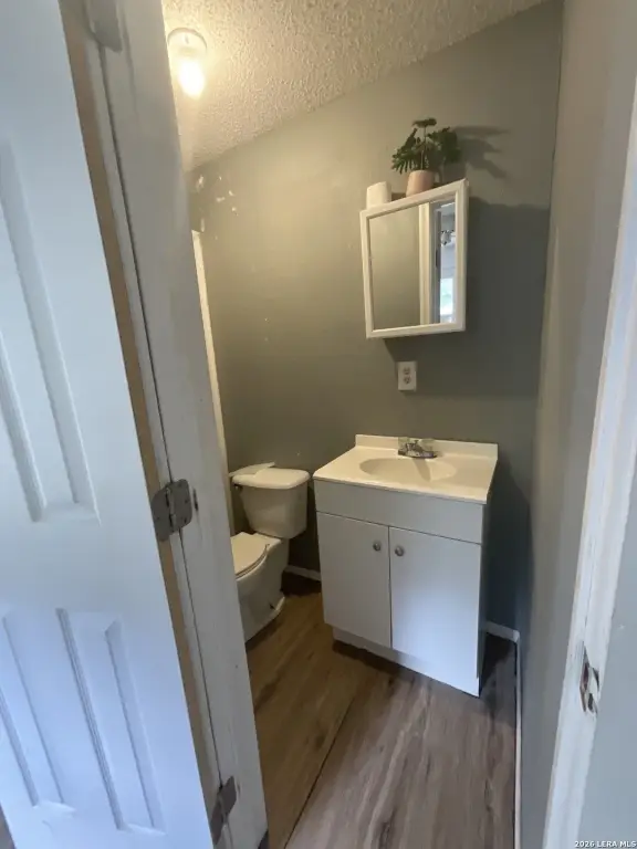 Picture 25