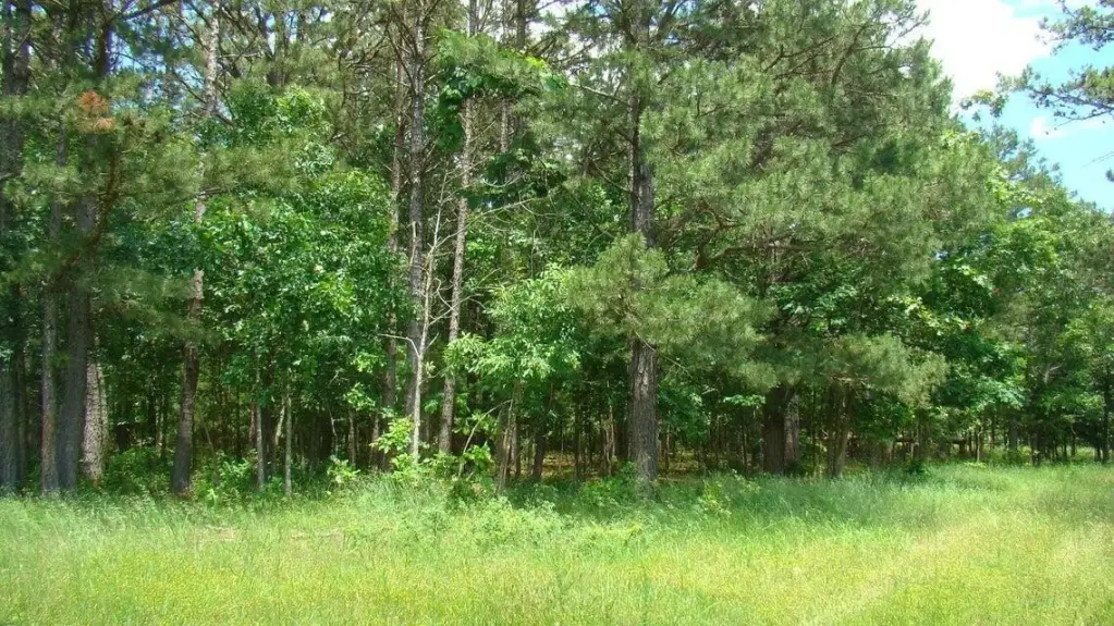 Picture 2