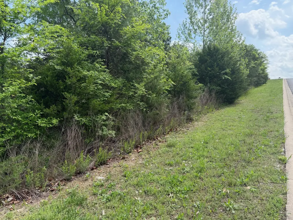 Picture 6