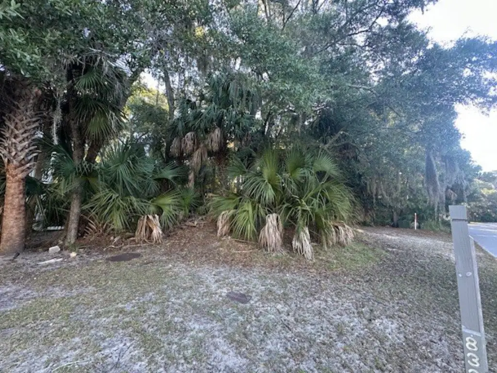 Picture 4