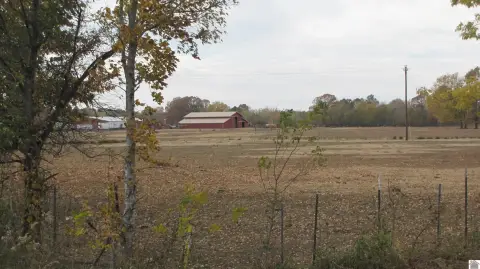 Paducah Farm for Development