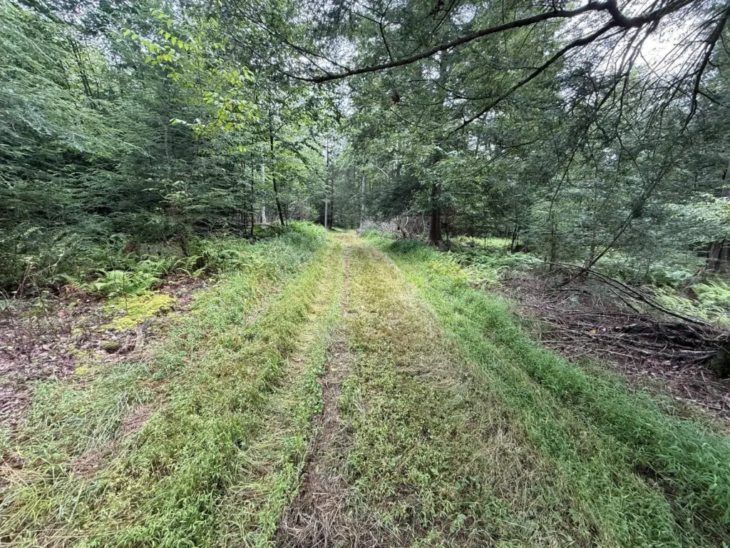 Picture 48