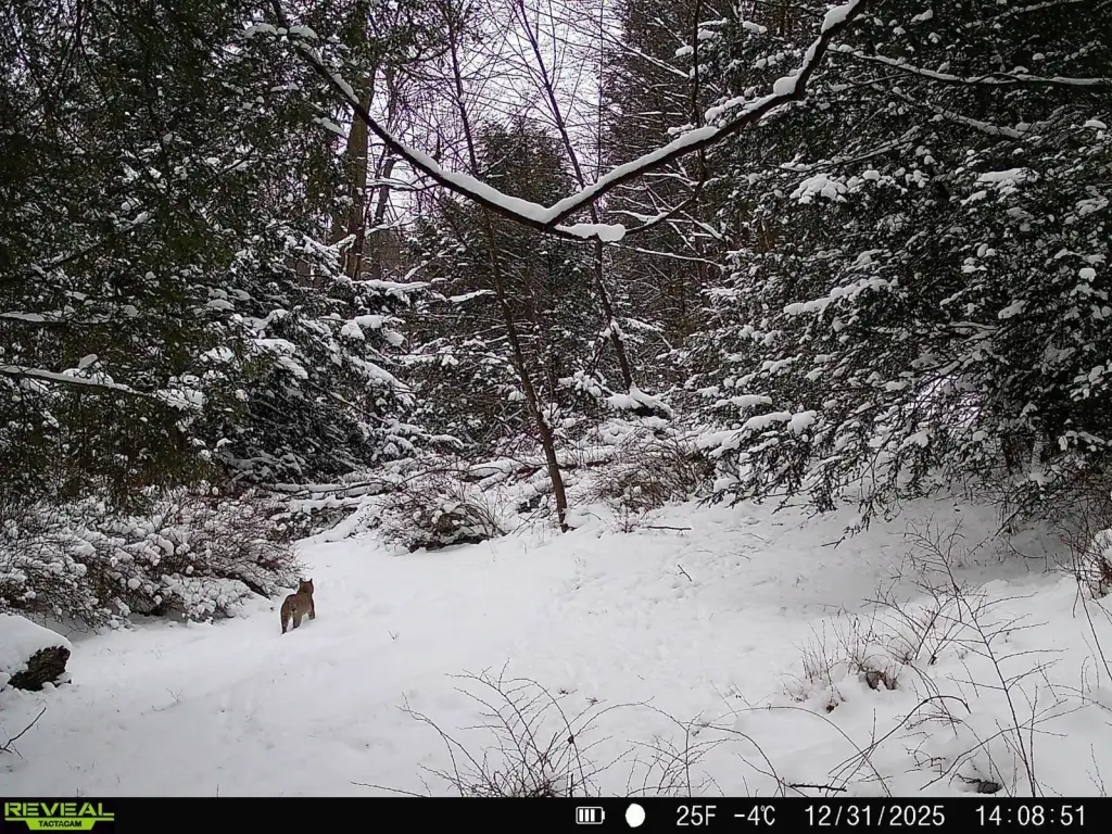 Picture 15