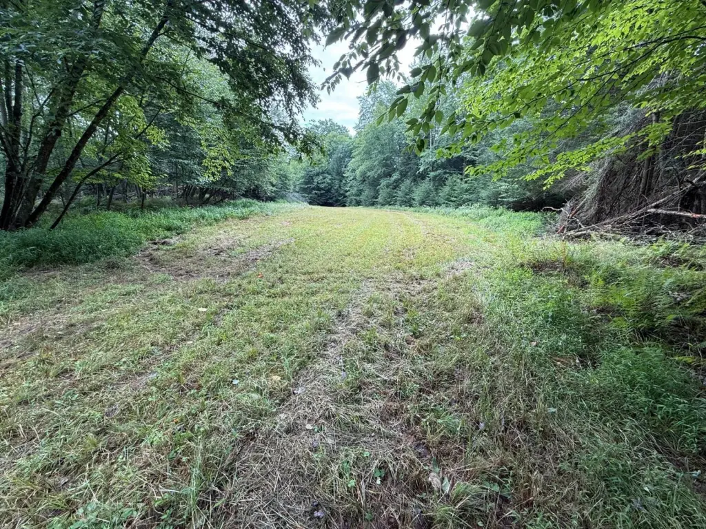 Picture 22