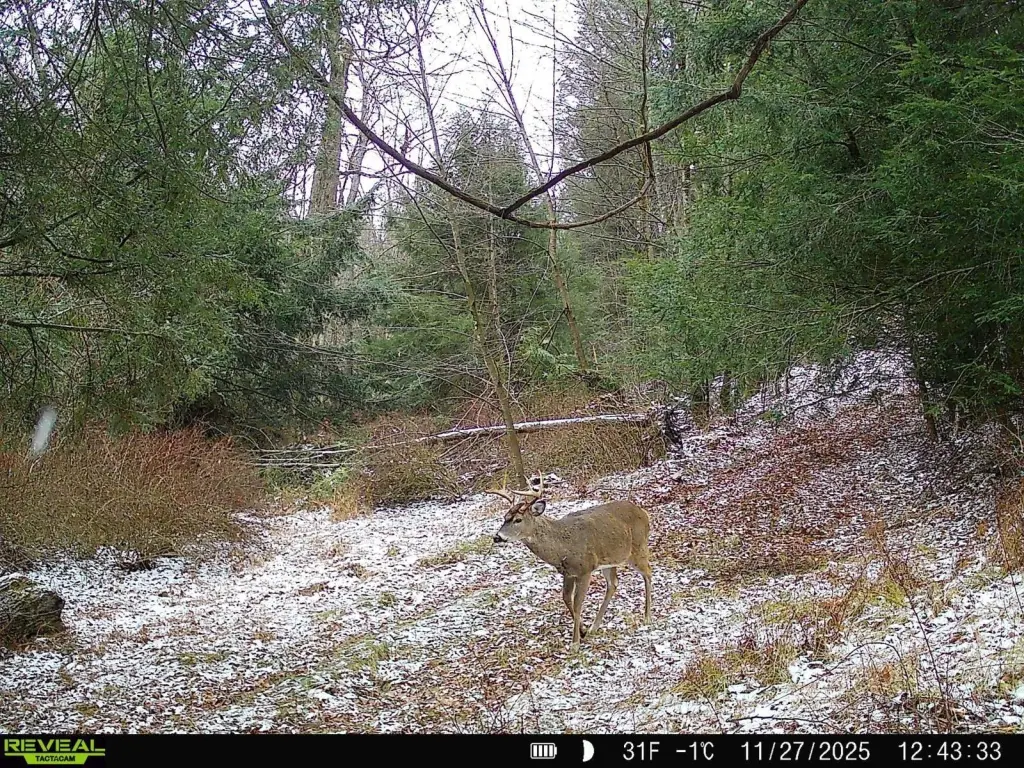 Picture 14