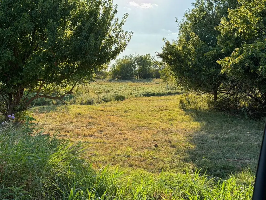 Picture 19