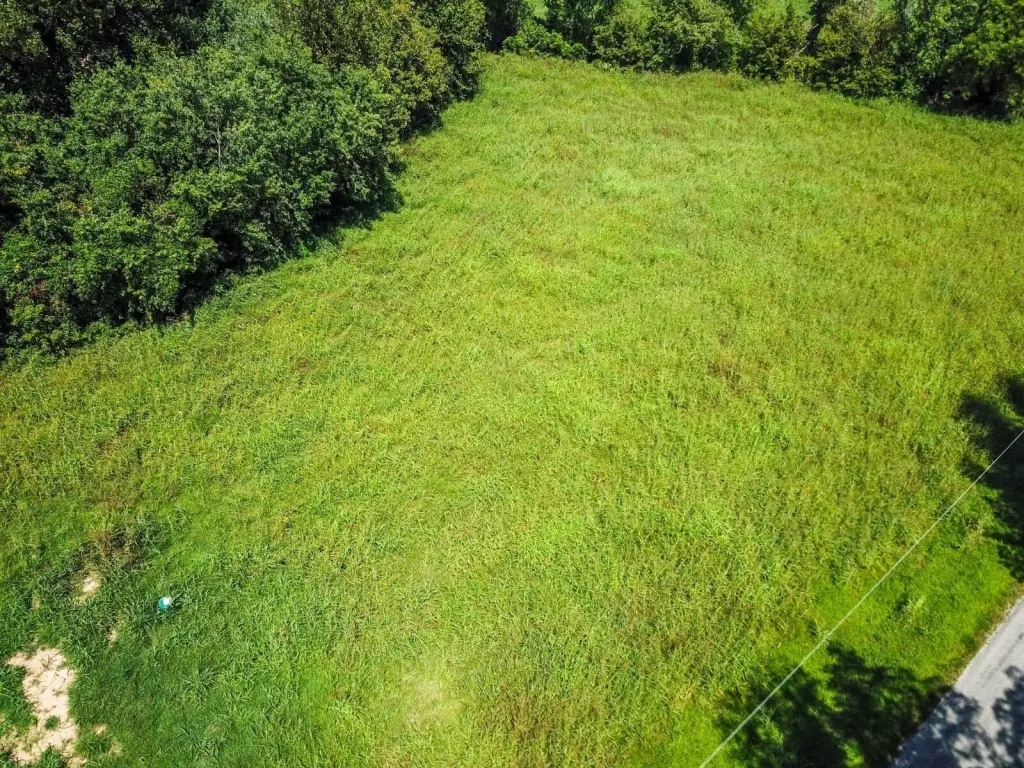 Picture 10