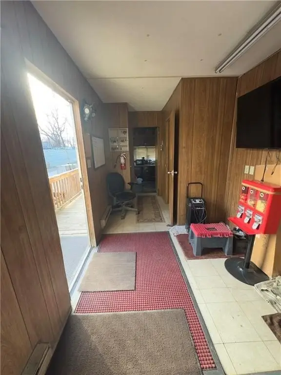 Picture 5