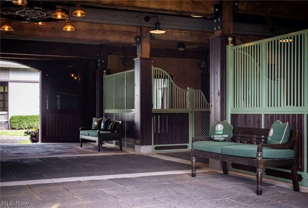 Picture 24