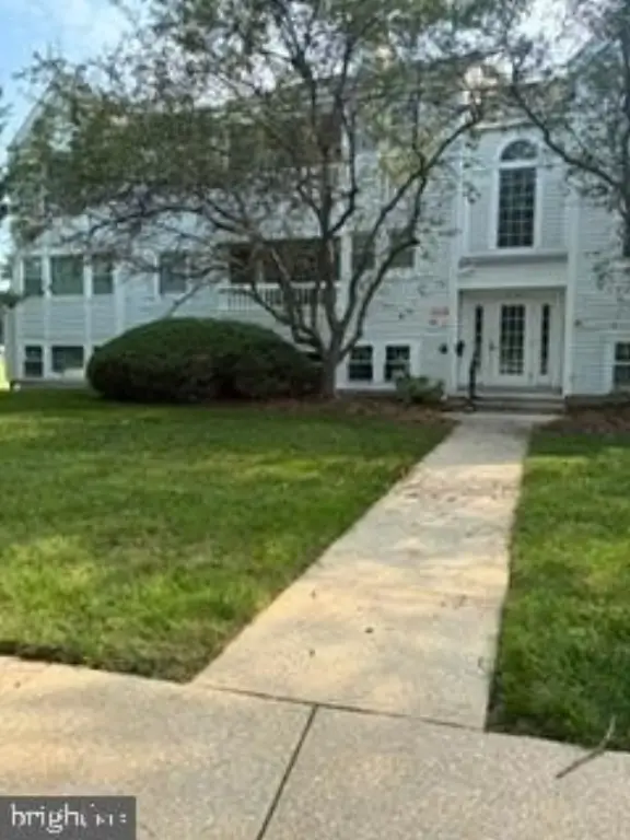 Picture 25