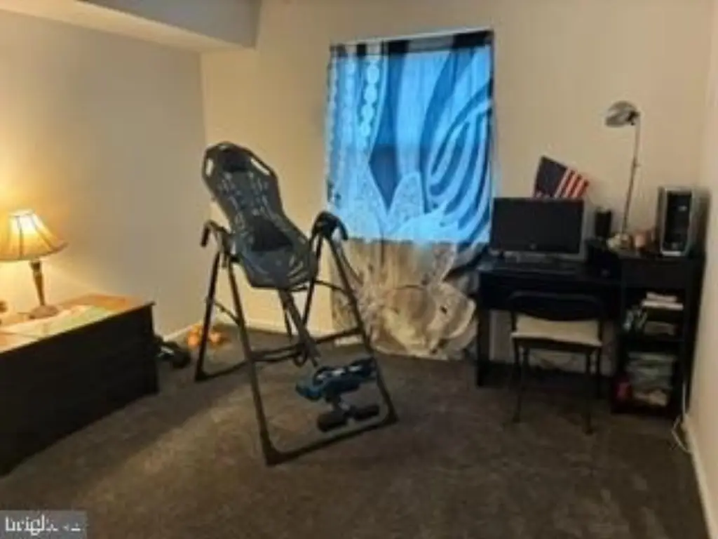 Picture 20