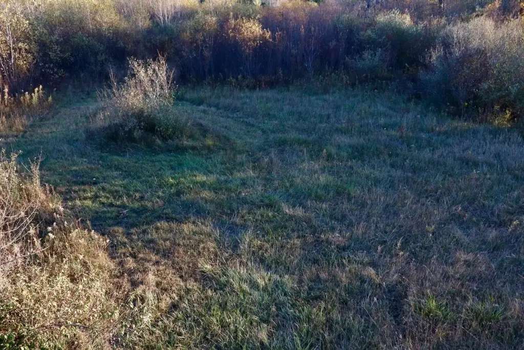 Picture 17