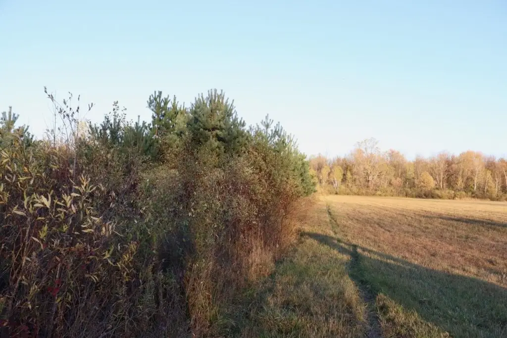 Picture 40