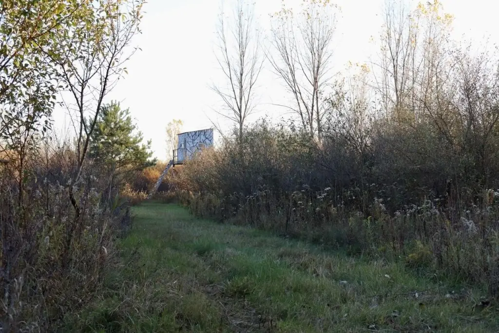Picture 4