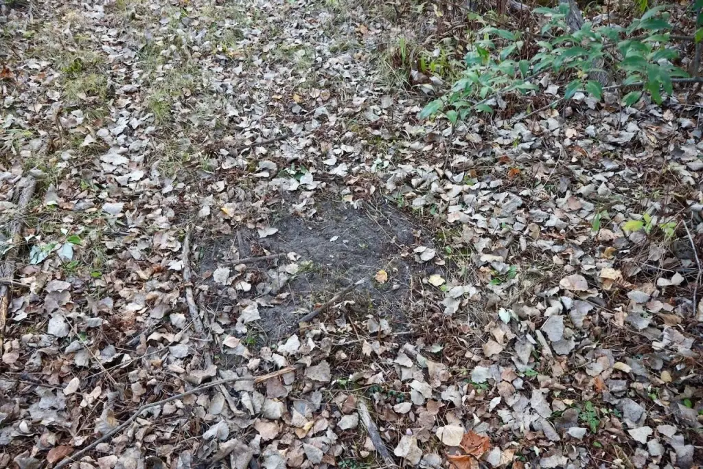 Picture 41