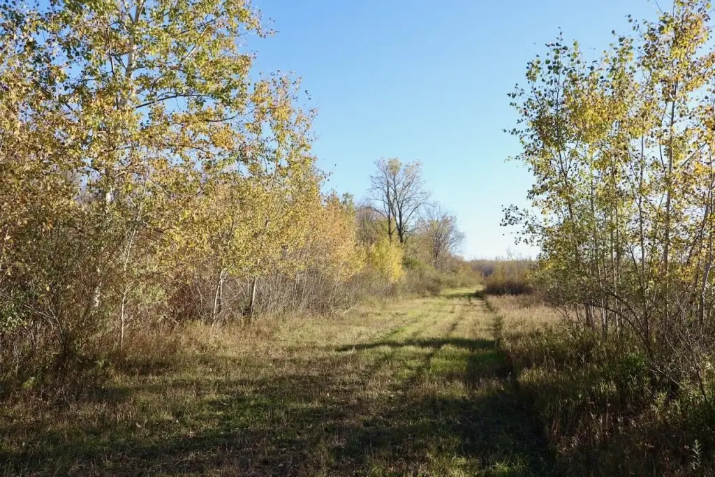 Picture 29