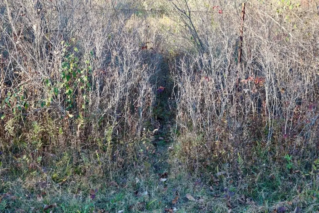 Picture 11