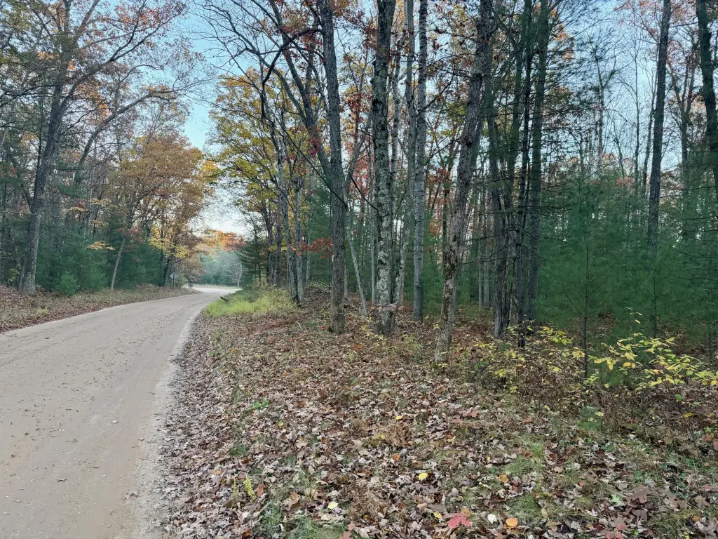 Picture 6
