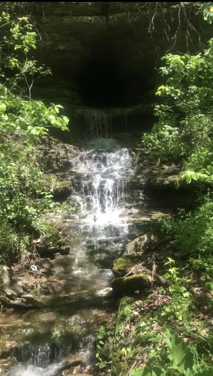 Picture 21