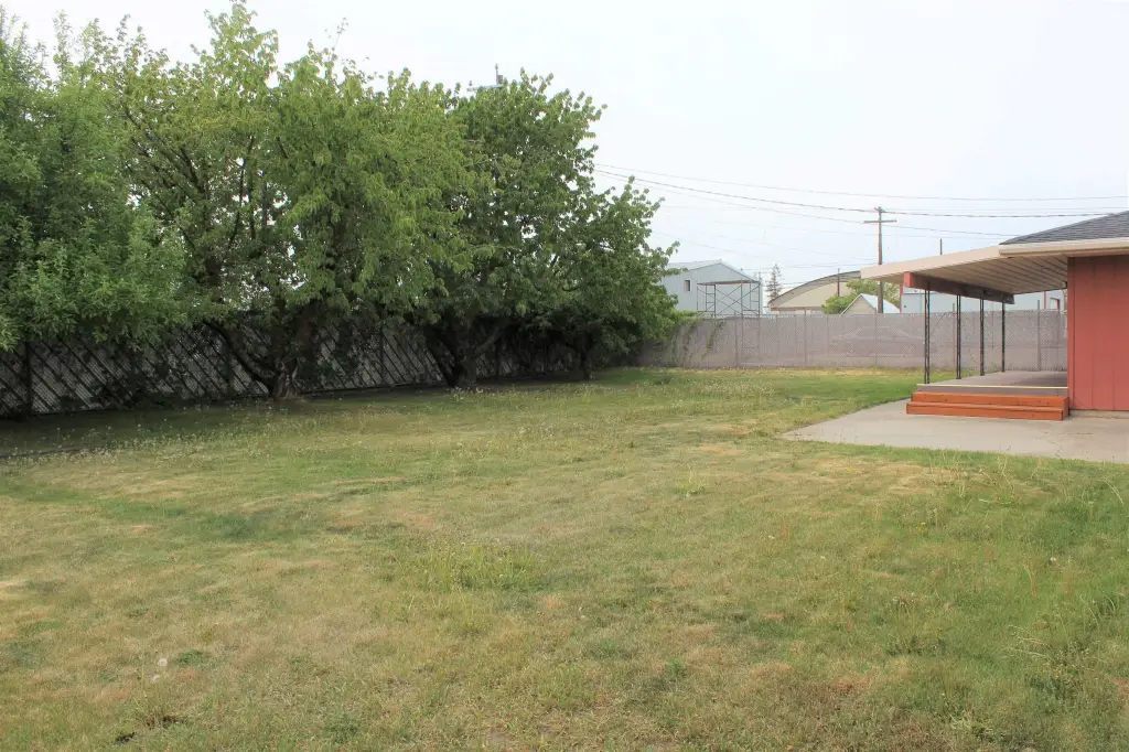 Picture 31