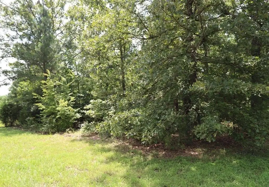 Picture 4