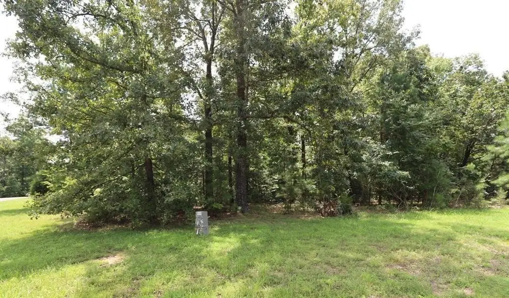 Picture 3
