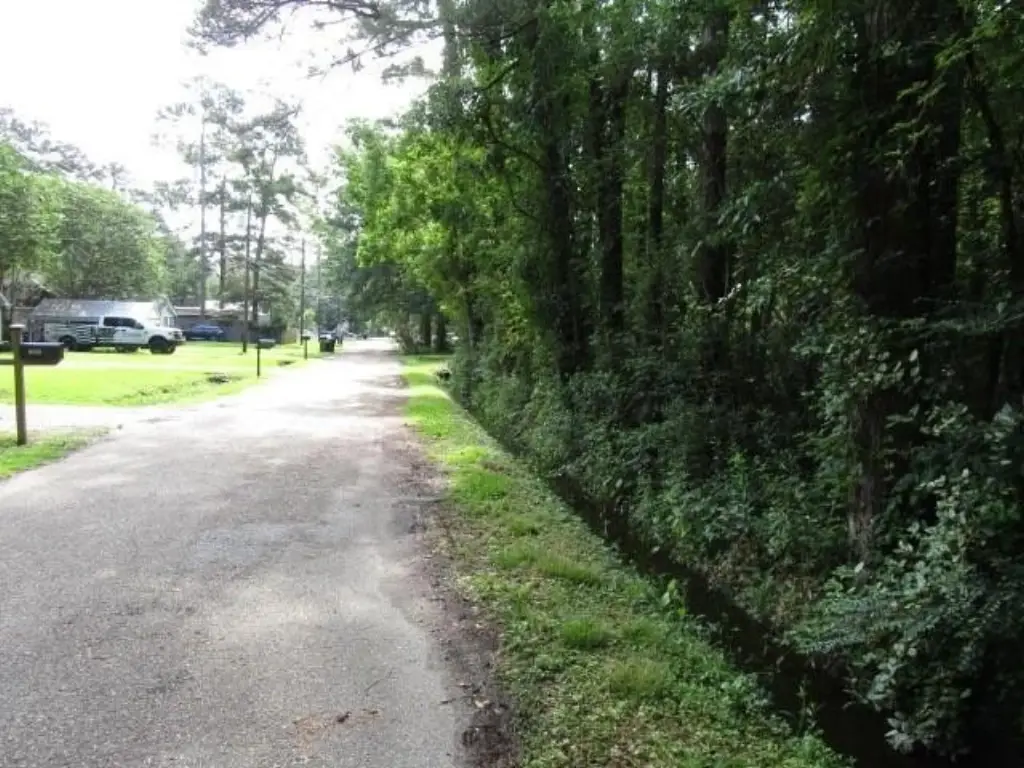 Picture 3
