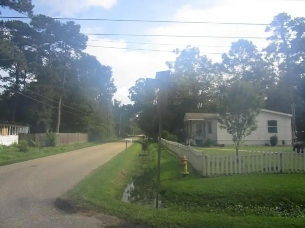 Picture 5