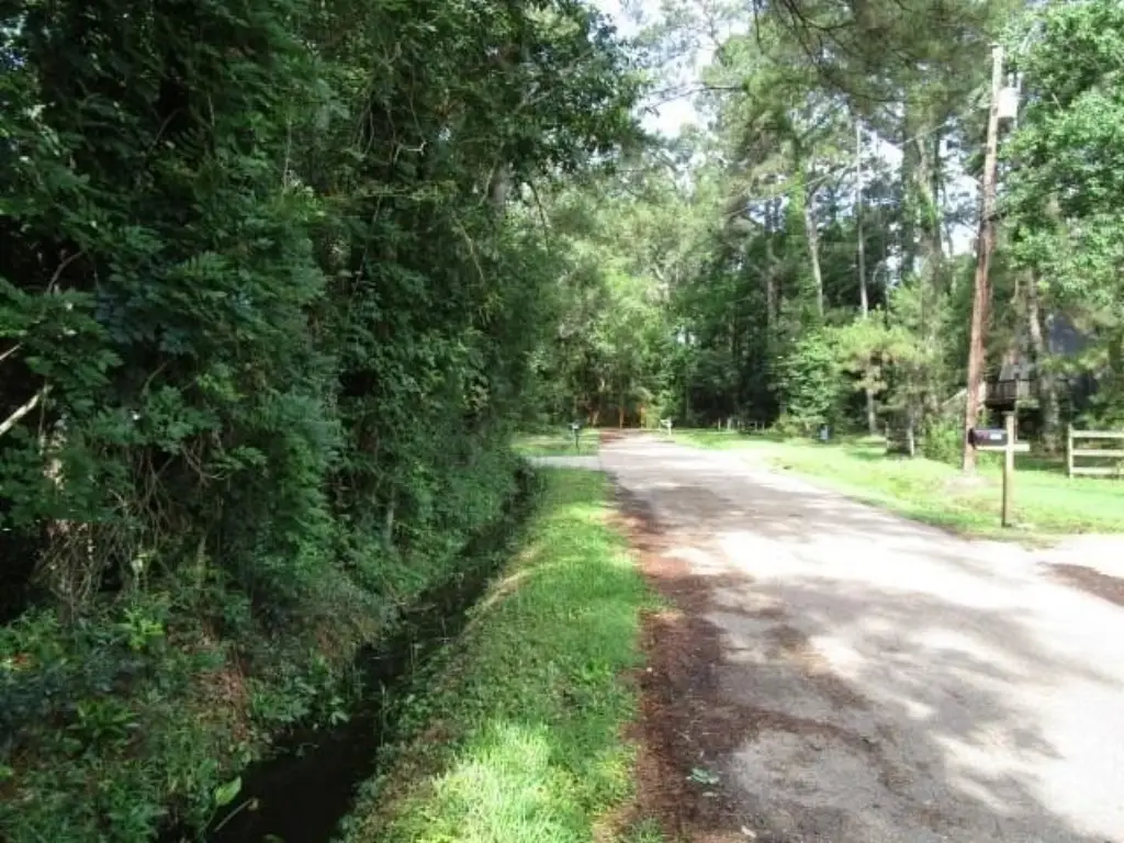 Picture 4